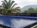 Villa Alex Pacet Kolam Renang Pribadi